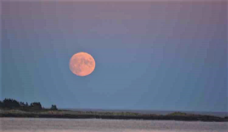 moonrise